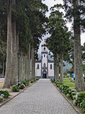 A small white chapel is seen at the end of a row of green, leafy trees with blue hydrangeas blooming beneath them