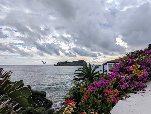 Bright pink and red flowers are blooming over a white wall with an island in the ocean in the distance