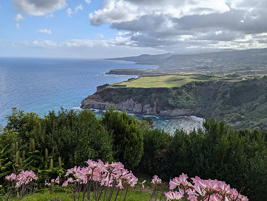 Green and rocky cliffs rise above dark blue ocean water with pink flowers blooming in the foreground