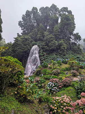 A waterfall cascades down a lush green hillside with blue and pink flowers blooming in the foreground