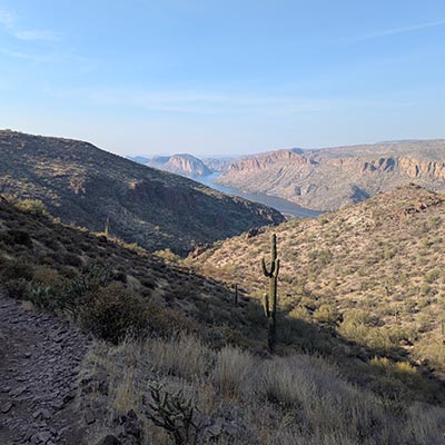 A lake is barely visible beyond a couple of hills covered with desert brush and saguaros